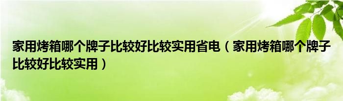 家用烤箱哪個(gè)牌子比較好比較實(shí)用省電（家用烤箱哪個(gè)牌子比較好比較實(shí)用）