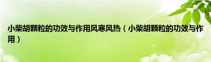 小柴胡顆粒的功效與作用風(fēng)寒風(fēng)熱（小柴胡顆粒的功效與作用）