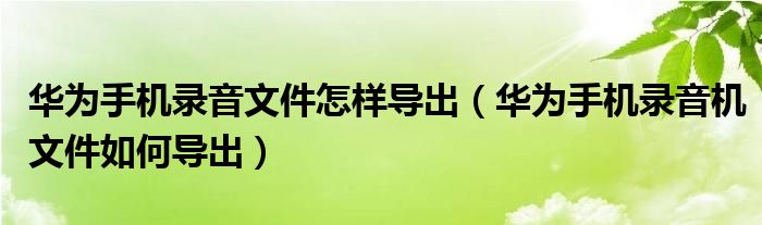 華為手機(jī)錄音文件怎樣導(dǎo)出（華為手機(jī)錄音機(jī)文件如何導(dǎo)出）