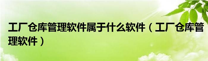 工廠倉(cāng)庫(kù)管理軟件屬于什么軟件（工廠倉(cāng)庫(kù)管理軟件）