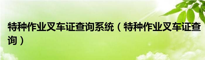 特種作業(yè)叉車證查詢系統(tǒng)（特種作業(yè)叉車證查詢）