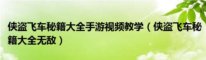 俠盜飛車秘籍大全手游視頻教學(xué)（俠盜飛車秘籍大全無敵）