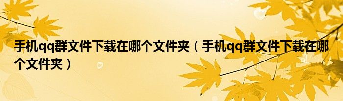 手機(jī)qq群文件下載在哪個(gè)文件夾（手機(jī)qq群文件下載在哪個(gè)文件夾）