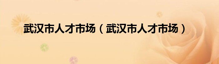 武漢市人才市場（武漢市人才市場）