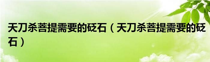 天刀殺菩提需要的砭石（天刀殺菩提需要的砭石）