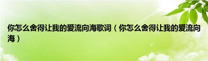 你怎么舍得讓我的愛(ài)流向海歌詞（你怎么舍得讓我的愛(ài)流向海）