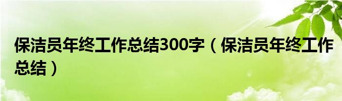 保潔員年終工作總結(jié)300字（保潔員年終工作總結(jié)）