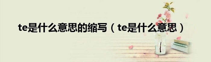 te是什么意思的縮寫（te是什么意思）