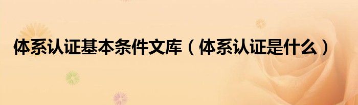 體系認(rèn)證基本條件文庫（體系認(rèn)證是什么）