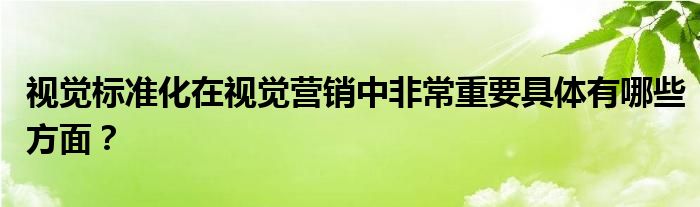 視覺(jué)標(biāo)準(zhǔn)化在視覺(jué)營(yíng)銷中非常重要具體有哪些方面？