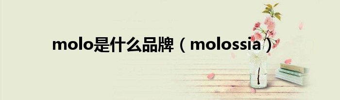 molo是什么品牌（molossia）