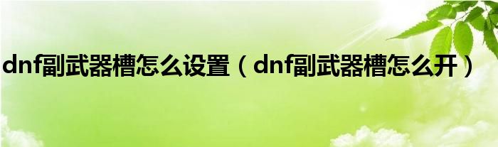 dnf副武器槽怎么設(shè)置（dnf副武器槽怎么開）