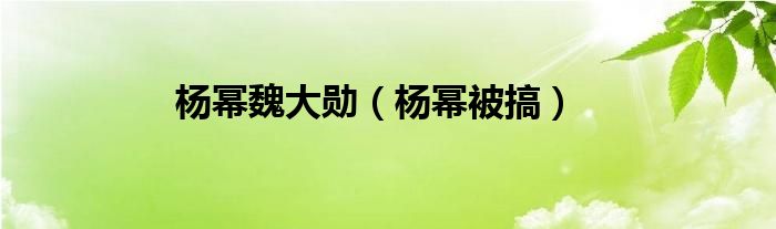 楊冪魏大勛（楊冪被搞）