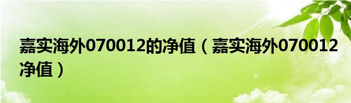 嘉實(shí)海外070012的凈值（嘉實(shí)海外070012凈值）