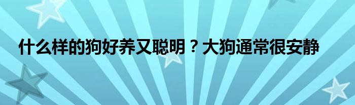 什么樣的狗好養(yǎng)又聰明？大狗通常很安靜