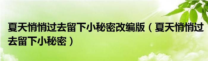 夏天悄悄過(guò)去留下小秘密改編版（夏天悄悄過(guò)去留下小秘密）