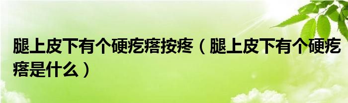 腿上皮下有個(gè)硬疙瘩按疼（腿上皮下有個(gè)硬疙瘩是什么）