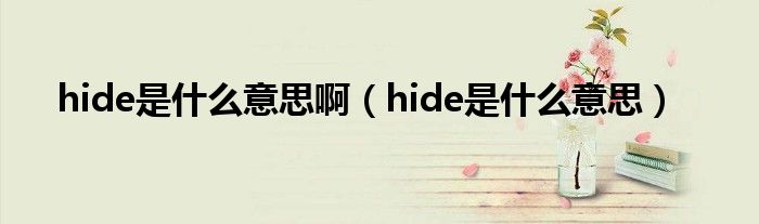 hide是什么意思?。╤ide是什么意思）