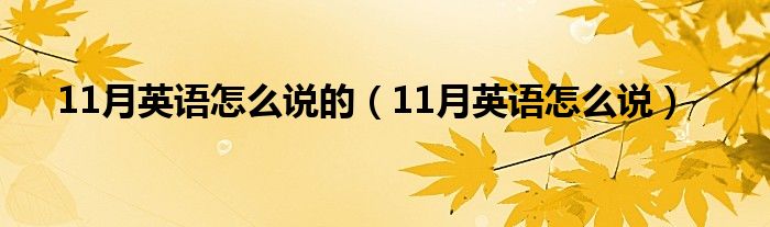 11月英語怎么說的（11月英語怎么說）