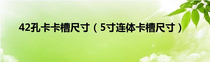 42孔卡卡槽尺寸（5寸連體卡槽尺寸）