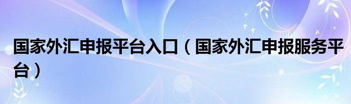 國(guó)家外匯申報(bào)平臺(tái)入口（國(guó)家外匯申報(bào)服務(wù)平臺(tái)）