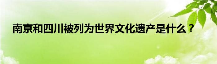 南京和四川被列為世界文化遺產(chǎn)是什么？