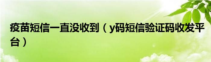 疫苗短信一直沒收到（y碼短信驗(yàn)證碼收發(fā)平臺(tái)）