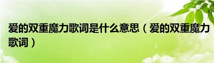 愛的雙重魔力歌詞是什么意思（愛的雙重魔力歌詞）