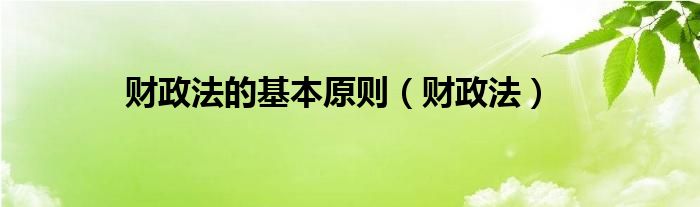 財(cái)政法的基本原則（財(cái)政法）