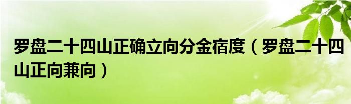 羅盤二十四山正確立向分金宿度（羅盤二十四山正向兼向）