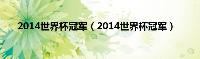 2014世界杯冠軍（2014世界杯冠軍）