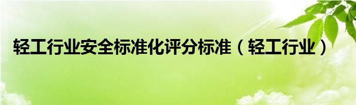 輕工行業(yè)安全標準化評分標準（輕工行業(yè)）