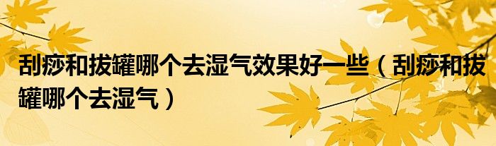 刮痧和拔罐哪個(gè)去濕氣效果好一些（刮痧和拔罐哪個(gè)去濕氣）