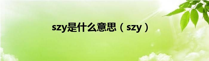 szy是什么意思（szy）