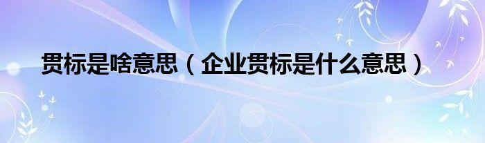 貫標(biāo)是啥意思（企業(yè)貫標(biāo)是什么意思）