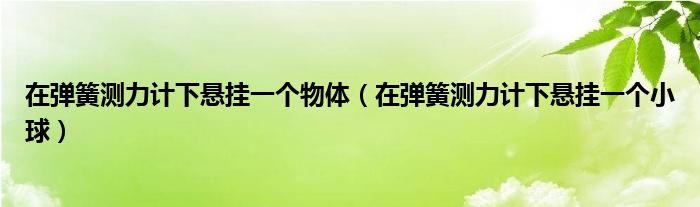 在彈簧測(cè)力計(jì)下懸掛一個(gè)物體（在彈簧測(cè)力計(jì)下懸掛一個(gè)小球）