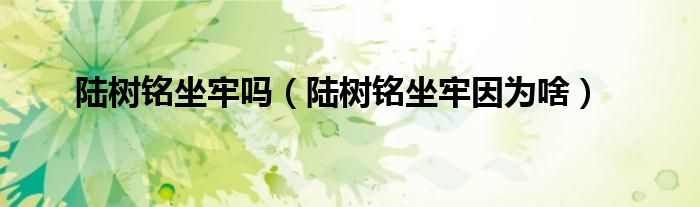 陸樹銘坐牢嗎（陸樹銘坐牢因?yàn)樯叮?class='thumb lazy' /></a>
		    <header>
		<h2><a  href=