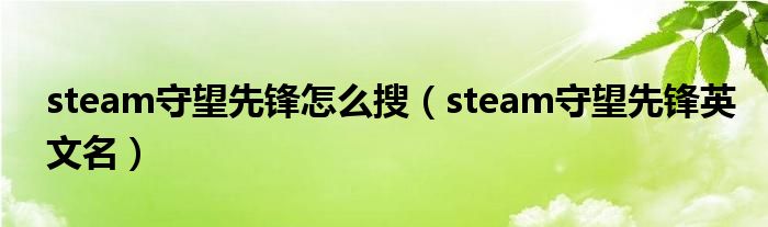 steam守望先鋒怎么搜（steam守望先鋒英文名）