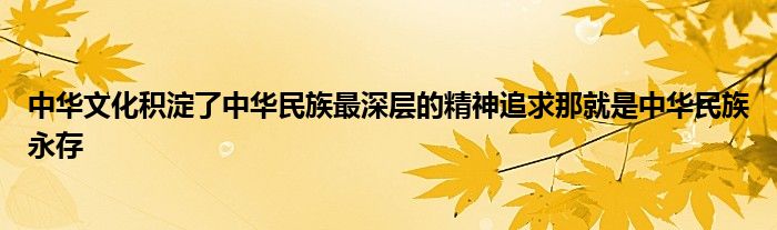 中華文化積淀了中華民族最深層的精神追求那就是中華民族永存