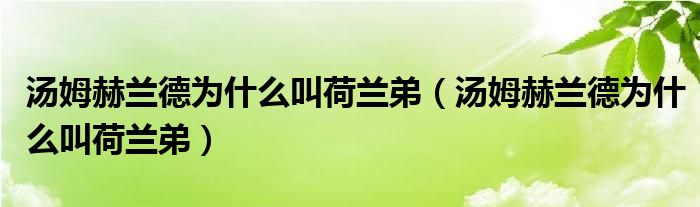 湯姆赫蘭德為什么叫荷蘭弟（湯姆赫蘭德為什么叫荷蘭弟）