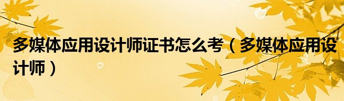 多媒體應(yīng)用設(shè)計師證書怎么考（多媒體應(yīng)用設(shè)計師）