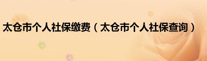 太倉市個人社保繳費（太倉市個人社保查詢）