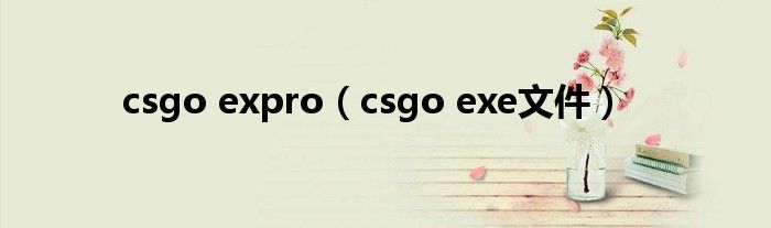 csgo expro（csgo exe文件）