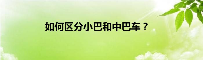 如何區(qū)分小巴和中巴車？