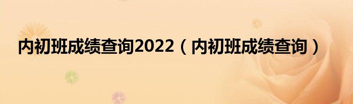 內(nèi)初班成績查詢2022（內(nèi)初班成績查詢）