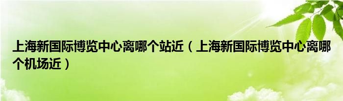 上海新國際博覽中心離哪個站近（上海新國際博覽中心離哪個機場近）