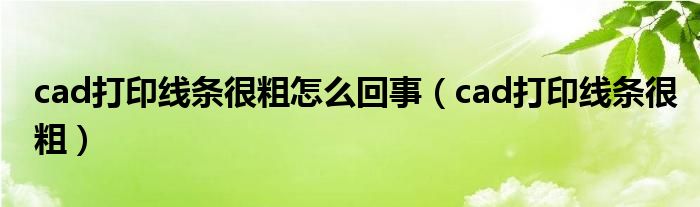 cad打印線條很粗怎么回事（cad打印線條很粗）