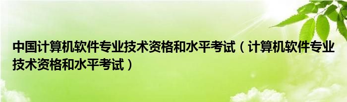 中國(guó)計(jì)算機(jī)軟件專業(yè)技術(shù)資格和水平考試（計(jì)算機(jī)軟件專業(yè)技術(shù)資格和水平考試）