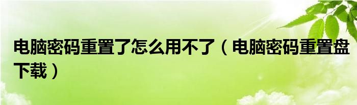 電腦密碼重置了怎么用不了（電腦密碼重置盤下載）