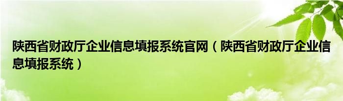 陜西省財(cái)政廳企業(yè)信息填報(bào)系統(tǒng)官網(wǎng)（陜西省財(cái)政廳企業(yè)信息填報(bào)系統(tǒng)）